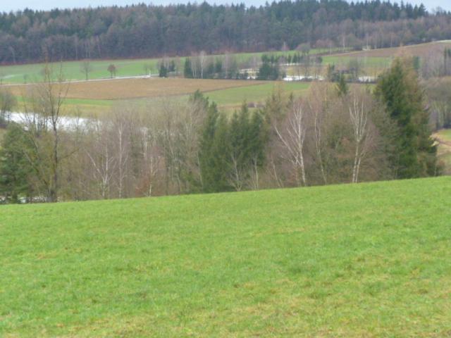 Villa Blockhaus Mit Wlan Bayern Stamsried Exterior foto